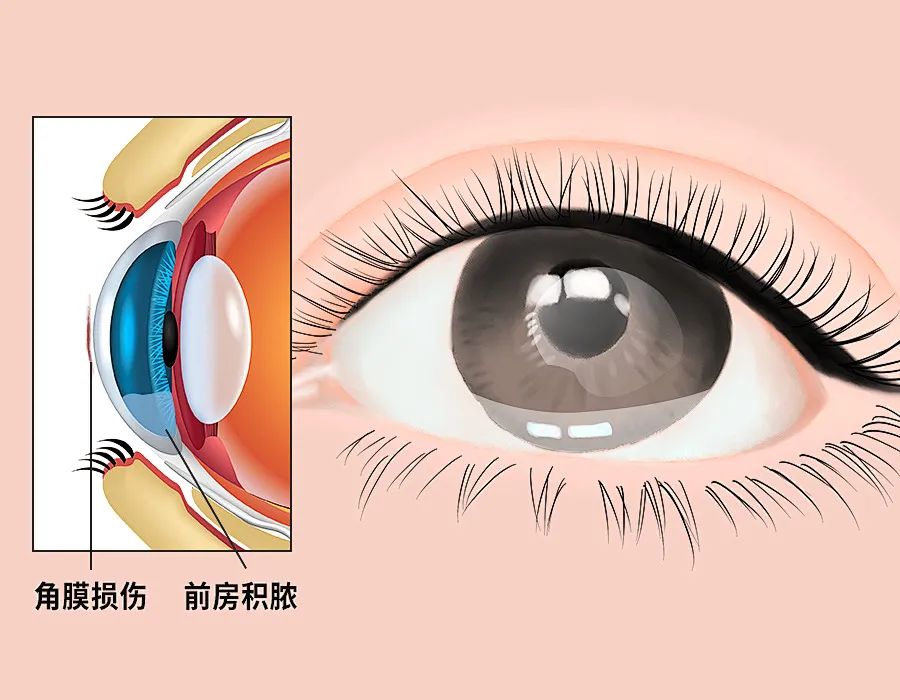 微信图片_20230131085352.jpg