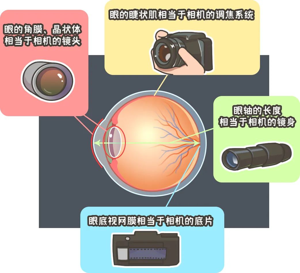 微信图片_20230224143612.jpg