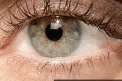 1.gif