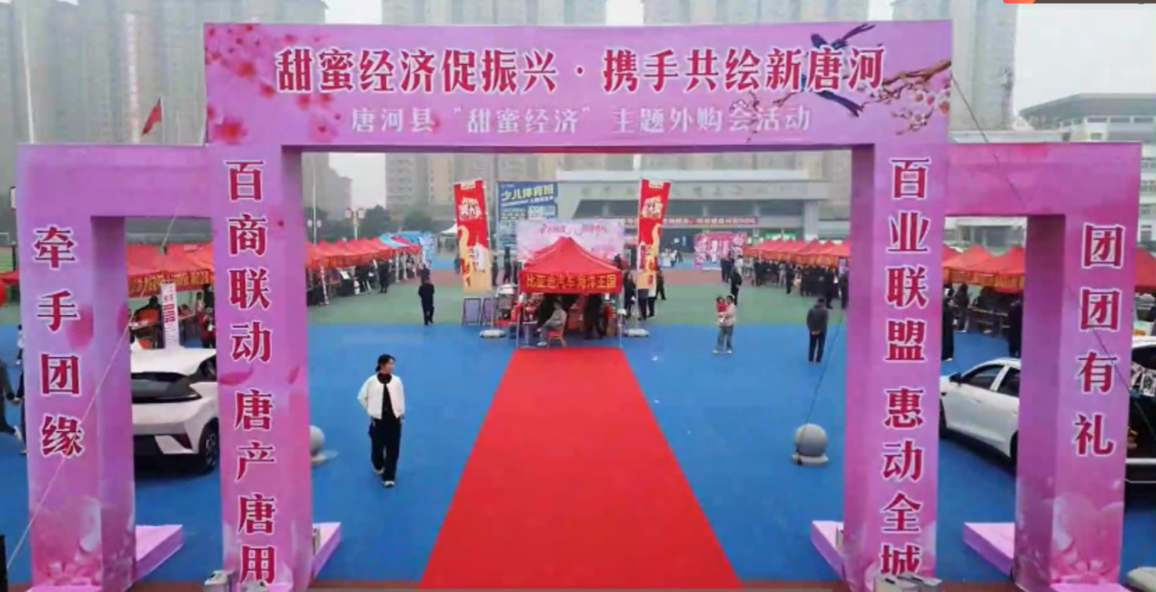 1763512448959636.png image.png